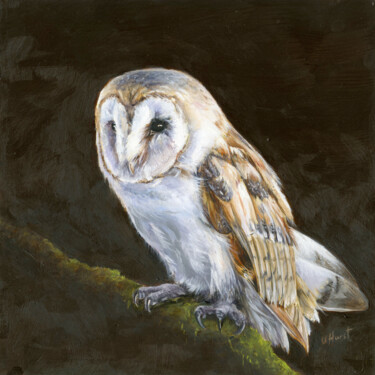Картина под названием "Barn owl Tyto alba" - Una Hurst, Подлинное произведение искусства, Масло