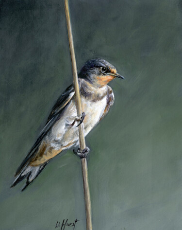 Schilderij getiteld "Swallow" door Una Hurst, Origineel Kunstwerk, Olie