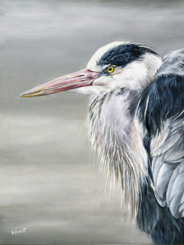 Pintura intitulada "Grey Heron" por Una Hurst, Obras de arte originais, Óleo