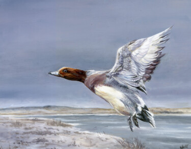Painting titled "European wigeon (ma…" by Una Hurst, Original Artwork, Oil Mounted on Wood Stretcher frame