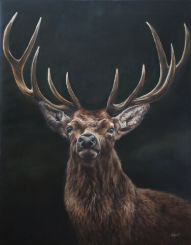 Malerei mit dem Titel "Stag, red deer stag…" von Una Hurst, Original-Kunstwerk, Öl