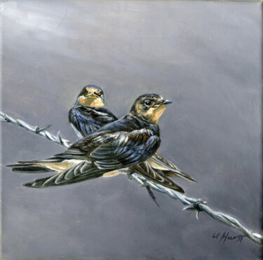 Painting titled "Swallows Hirundo ru…" by Una Hurst, Original Artwork, Oil Mounted on Wood Stretcher frame