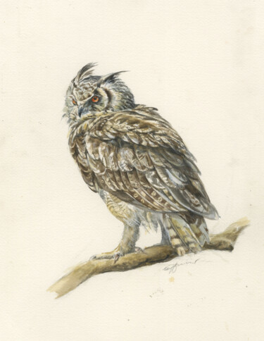 Schilderij getiteld "Long-eared owl Asio…" door Una Hurst, Origineel Kunstwerk, Aquarel