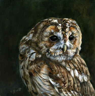 제목이 "Tawny owl Strix alu…"인 미술작품 Una Hurst로, 원작, 기름 나무 들것 프레임에 장착됨
