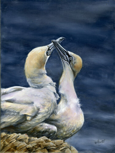 Painting titled "Gannets" by Una Hurst, Original Artwork, Oil Mounted on Wood Stretcher frame