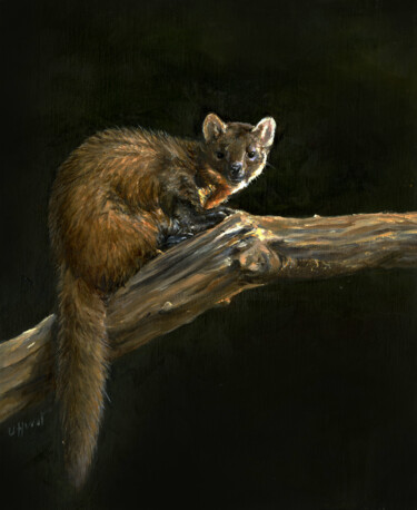 Painting titled "European Pine Marten" by Una Hurst, Original Artwork, Oil Mounted on Wood Stretcher frame