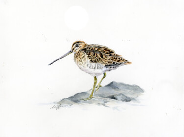 Schilderij getiteld "Snipe bird" door Una Hurst, Origineel Kunstwerk, Aquarel