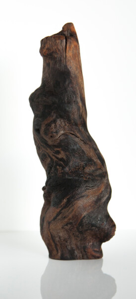 Sculpture titled "Spirit Animal" by Przemek Kret, Original Artwork, Wood