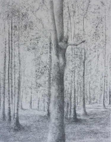 Dessin intitulée "The Tree Shepherd" par Przemek Kret, Œuvre d'art originale, Fusain