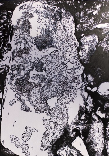 Рисунок под названием "Arctic lichens study" - Przemek Kret, Подлинное произведение искусства, Чернила
