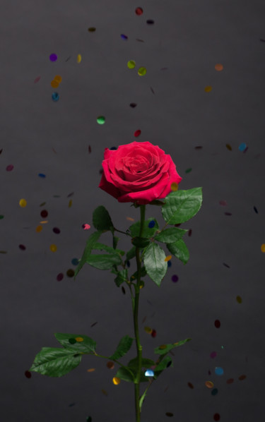 Your mood – Your desire, episode 2 Photographie intitulée "Your mood – Your de…" par Siarhei Zhukavets, Œuvre d'art originale, Photographie numérique