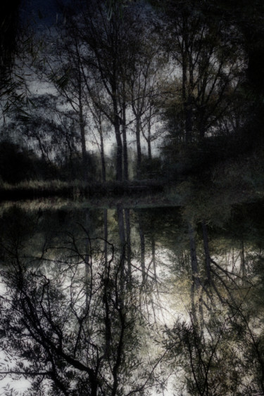 Into the Shadows Photographie intitulée "Into the Shadows" par Wouter Koster, Œuvre d'art originale, Photographie argentique Monté sur Autre…