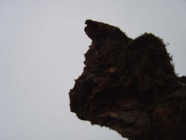 Fotografia intitulada "Cogumelo fóssil, “o…" por Urbano Da Cruz, Obras de arte originais, Fotografia digital