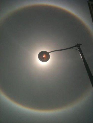 Fotografía titulada "halo" por Urs Steiger, Obra de arte original