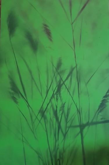 Painting titled "Reed" by Ursula Knorr, Original Artwork, Spray paint