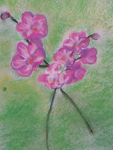 Dessin intitulée "Orchidea" par Urszula Elżbieta Owsiana (qulia), Œuvre d'art originale, Pastel