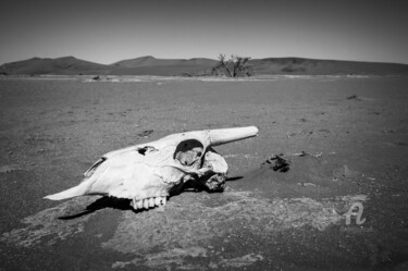Fotografie mit dem Titel "Namib Desert-0823-SW" von Uwe Bauch, Original-Kunstwerk, Digitale Fotografie
