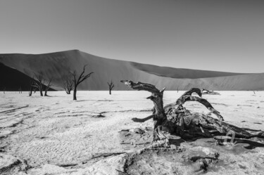 Photographie intitulée "Namib Desert-0719-SW" par Uwe Bauch, Œuvre d'art originale, Photographie numérique