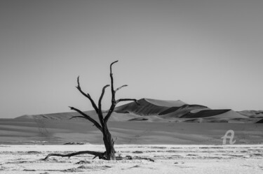 Fotografie getiteld "Namib Desert-0703-SW" door Uwe Bauch, Origineel Kunstwerk, Digitale fotografie