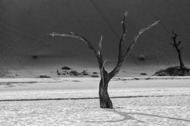 Fotografie getiteld "Namib Desert-0598-SW" door Uwe Bauch, Origineel Kunstwerk, Digitale fotografie
