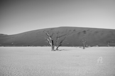 Fotografia zatytułowany „Namib Desert-0614-SW” autorstwa Uwe Bauch, Oryginalna praca, Fotografia cyfrowa