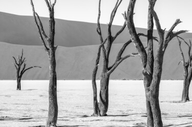 Fotografia zatytułowany „Namib Desert-0697-SW” autorstwa Uwe Bauch, Oryginalna praca, Fotografia cyfrowa