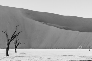 Fotografie getiteld "Namib Desert-0700-SW" door Uwe Bauch, Origineel Kunstwerk, Digitale fotografie