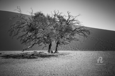 Fotografie getiteld "Namib Desert-0912-SW" door Uwe Bauch, Origineel Kunstwerk, Digitale fotografie