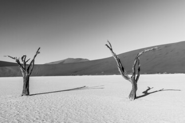 摄影 标题为“Namib Desert-0591-SW” 由Uwe Bauch, 原创艺术品, 数码摄影