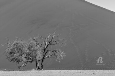 摄影 标题为“Namib Desert-0920-SW” 由Uwe Bauch, 原创艺术品, 数码摄影