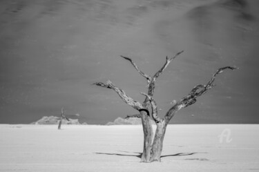 Fotografie getiteld "Namib Desert-0595-SW" door Uwe Bauch, Origineel Kunstwerk, Digitale fotografie