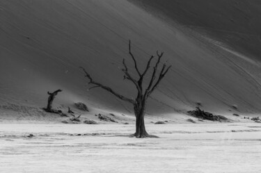 Fotografie mit dem Titel "Namib Desert-0583-SW" von Uwe Bauch, Original-Kunstwerk, Digitale Fotografie