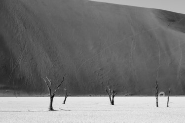 Fotografie getiteld "Namib Desert-0672-SW" door Uwe Bauch, Origineel Kunstwerk, Digitale fotografie