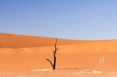 摄影 标题为“Namib Desert-0767” 由Uwe Bauch, 原创艺术品, 数码摄影