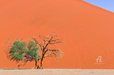 Photographie intitulée "Namib Desert-0920" par Uwe Bauch, Œuvre d'art originale, Photographie numérique