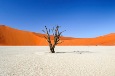 Fotografía titulada "Namib Desert-0724" por Uwe Bauch, Obra de arte original, Fotografía digital