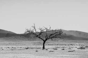 摄影 标题为“Namib Desert-0927-SW” 由Uwe Bauch, 原创艺术品, 数码摄影