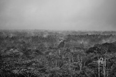Fotografía titulada "Amazonia-9123-SW" por Uwe Bauch, Obra de arte original, Fotografía digital