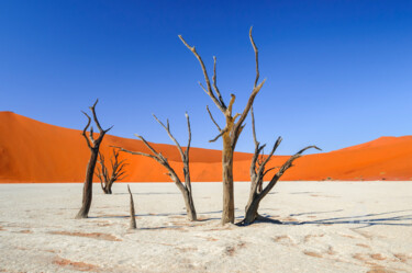 Photography titled "Namib Desert-0723-7" by Uwe Bauch, Original Artwork, Digital Photography