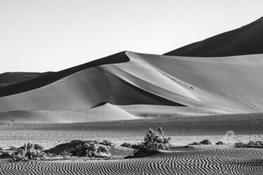 Photographie intitulée "Namib Desert-0528-SW" par Uwe Bauch, Œuvre d'art originale, Photographie numérique