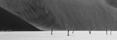 Fotografía titulada "Namib Desert Panora…" por Uwe Bauch, Obra de arte original, Fotografía digital