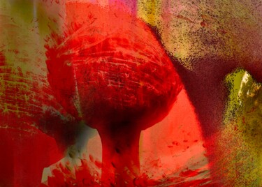 Photography titled "red allium" by Uwe Kobold, Original Artwork, Digital Photography
