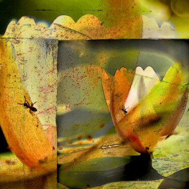 Photographie intitulée "at the pond - color…" par Uwe Kobold, Œuvre d'art originale, Photographie numérique