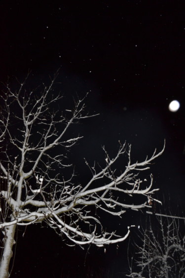 Schönheit der Nacht Photographie intitulée "Schönheit der Nacht" par Nisa Uzun, Œuvre d'art originale, Photographie argentique