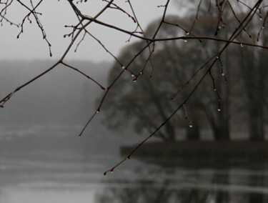 Photographie intitulée "fog" par Vadim Bogdanov, Œuvre d'art originale, Photographie numérique