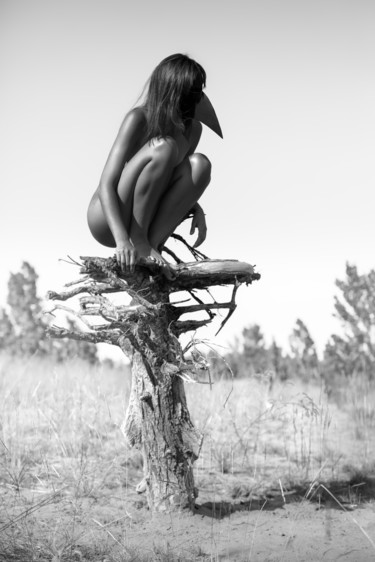 Fotografía titulada "Lonely bird" por Vadim Fedotov, Obra de arte original, Fotografía digital