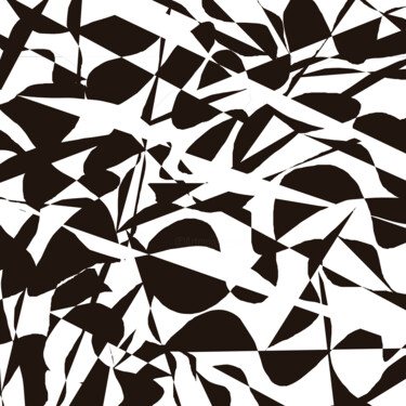 Gravures & estampes intitulée "Black & White mirro…" par Vafa Majidli, Œuvre d'art originale, Impression numérique