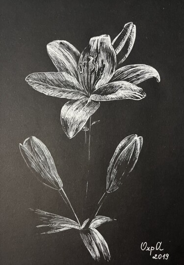 Drawing titled "LILY - small drawin…" by Alona Vakhmistrova, Original Artwork, Gel pen