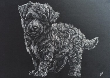 Drawing titled "MALTIPOO - small dr…" by Alona Vakhmistrova, Original Artwork, Pencil