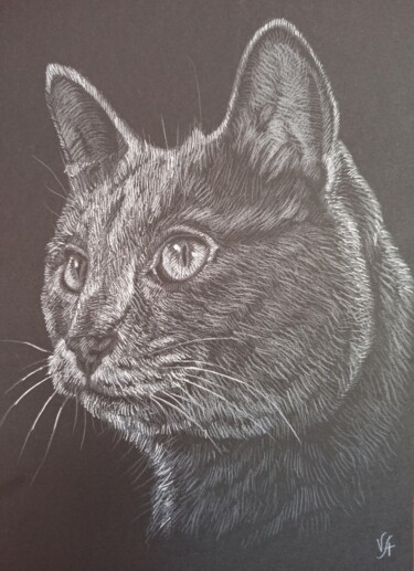 Drawing titled "KORAT CAT - small d…" by Alona Vakhmistrova, Original Artwork, Pencil